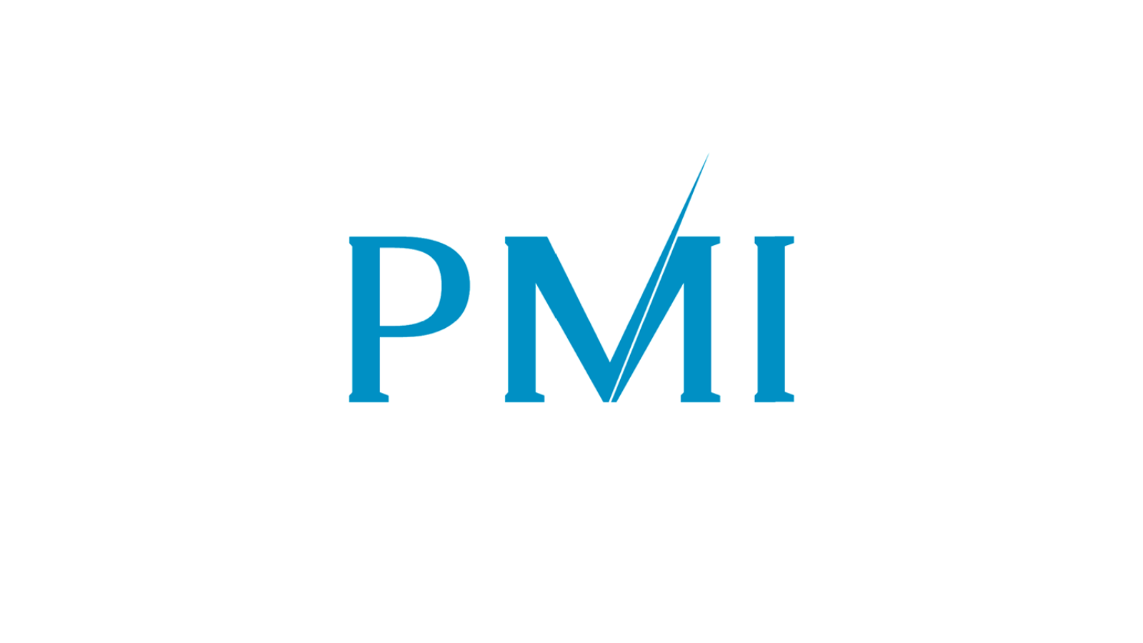 Cybersecurity Learnership Programme 2026 PMI SA